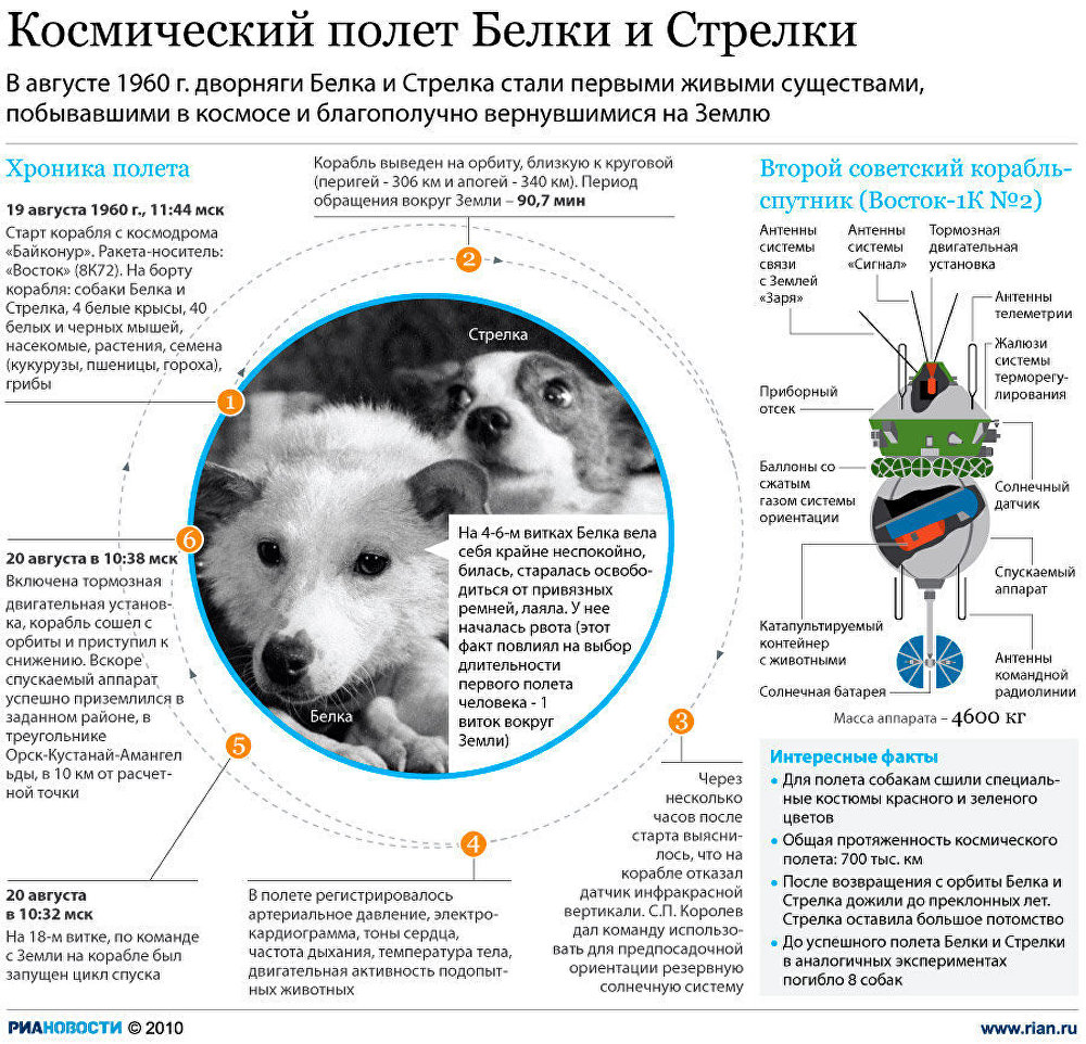 Космический полет Белки и Стрелки