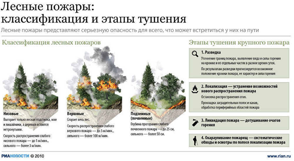 Лесные пожары: причины возникновения и методы предотвращения