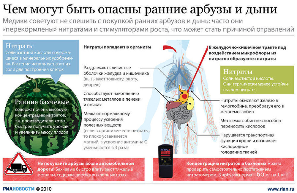 Отравление арбузом симптомы. Отравление арбузом. Чем опасны нитраты. Влияние арбуза на организм. Нитраты в арбузе влияние на организм.