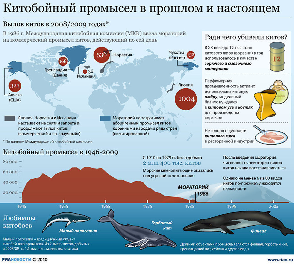 Китобойный промысел презентация