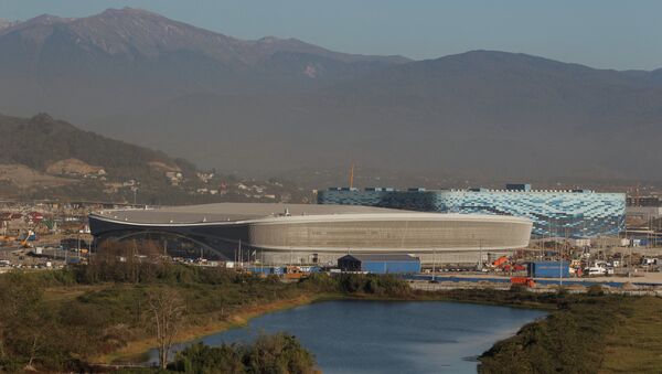 Вид на Конькобежный центр Адлер-Арена и Дворец зимнего спорта Айсберг (на втором плане) в Сочи