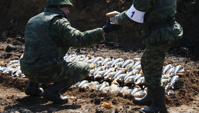 Утилизация боеприпасов