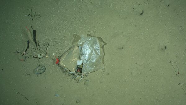 Пластиковый мусор на дне Северного Ледовитого океана