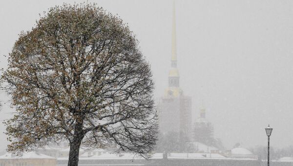 Обильный снегопад в Санкт-Петербурге