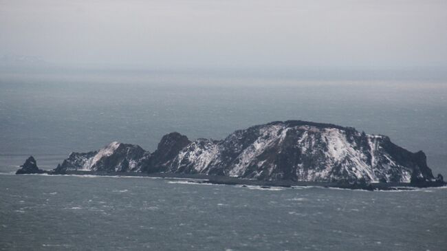 Поиски пропавшего сухогруза Амурская в Охотском море