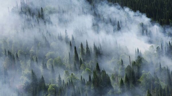 Лесной пожар в Сибири, архивное фото
