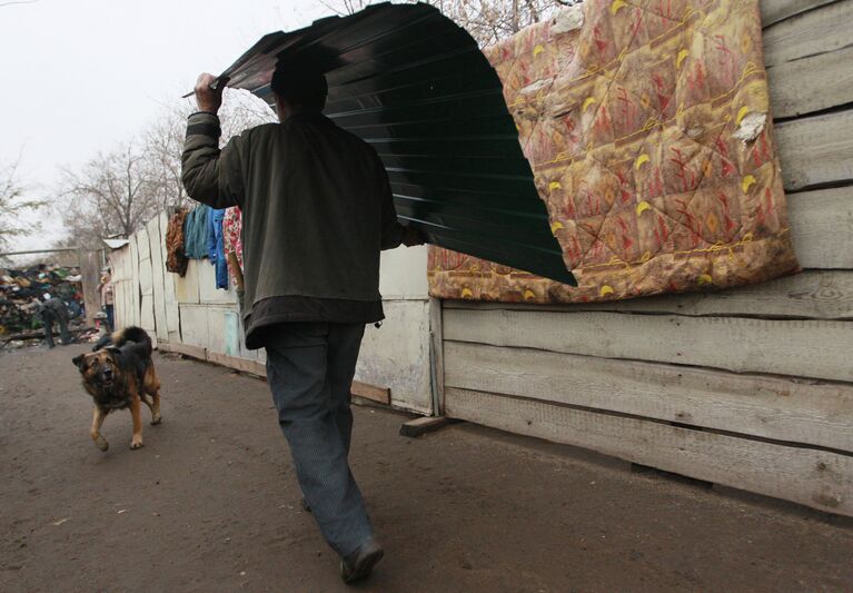 Последствия пожара в приюте для животных Альма