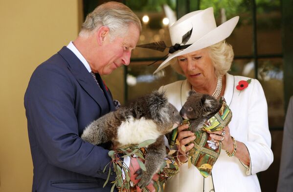 Британский принц Чарльз и его жена Камилла держат коал в Доме правительства в Аделаиде
