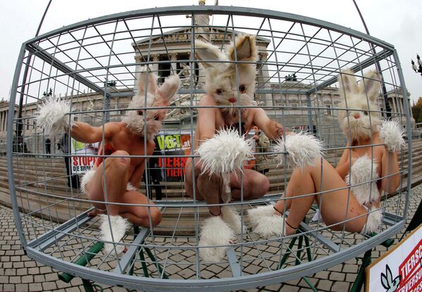 Акция протеста против экспериментов над животными в Вене