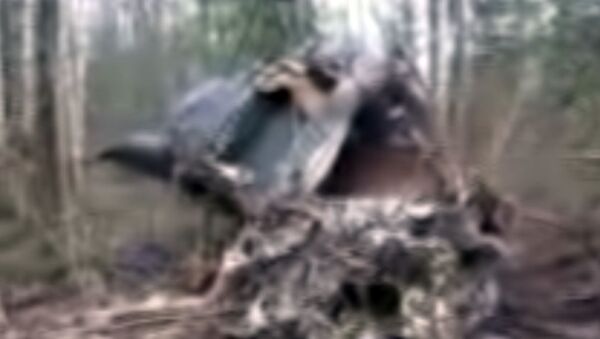 Обломки вертолета Ми-2 на месте жесткой посадки в Ивановской области