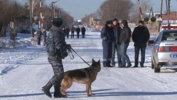 Сотрудник полиции с собакой дежурит у исправительной колонии №6 города Копейска Челябинской области