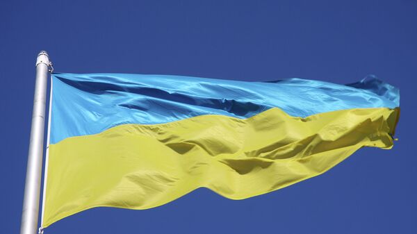 Флаг Украины, архивное фото.