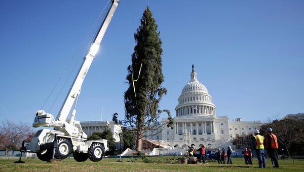 Рабочие устанавливают рождественскую елку у Капитолия в Вашингтоне, США