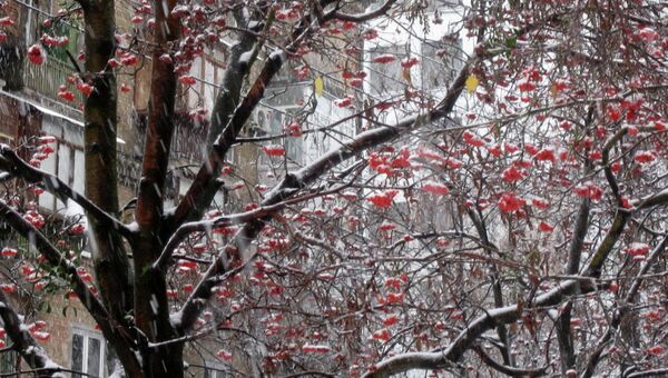 Снег в Киеве. Архивное фото