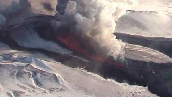 Лес горит из-за потоков лавы рядом с действующим вулканом на Камчатке