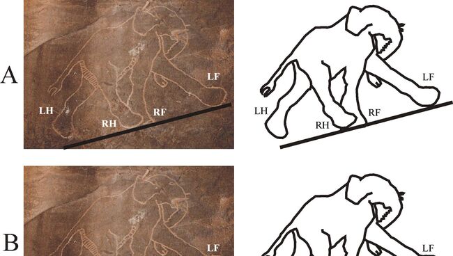 Рисунки слона из пещер в ливийских горах Тадрарт-Акакус