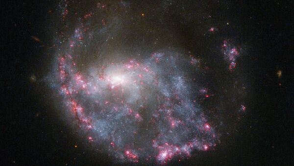 Кольцеобразная галактика NGC 922 в созвездии Печи. Снимок телескопа “Хаббл”