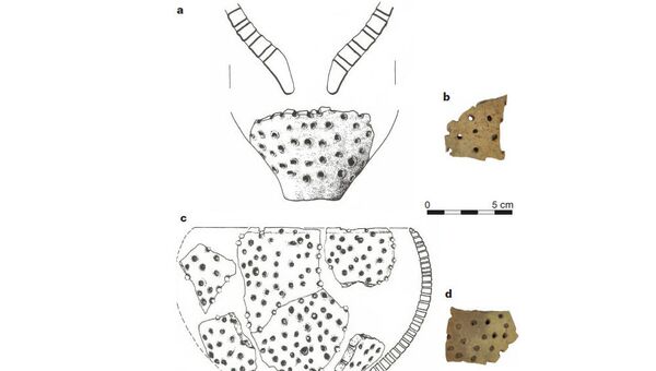 Черепки глиняных сосудов, которые использовали древние европейские сыровары 7,5 тысячи лет назад