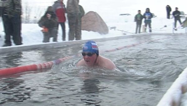 Морж-африканец рискнул в Сибири установить рекорд по плаванию