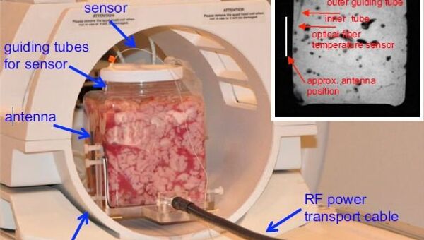 Экспериментальная установка с антенной сотового телефона, томографом и мозгом коровы