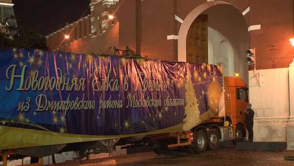 Дед Мороз привез 30-метровую елку в Кремль 