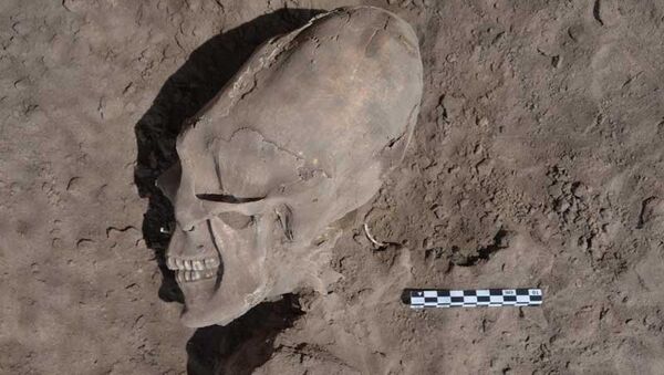 Деформированный череп, найденный при раскопках доиспанского захоронения в Мексике
