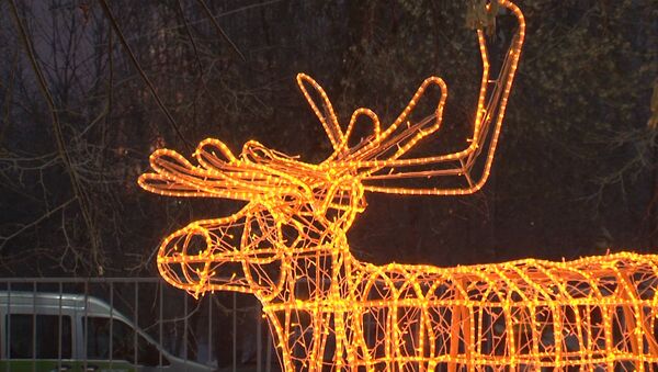 Светящиеся олени, елки и снеговики – новогодняя иллюминация в московском парке