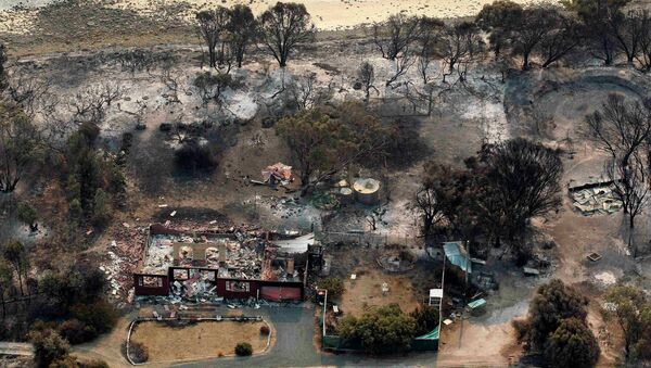 Последствия лесных пожаров в Тасмании