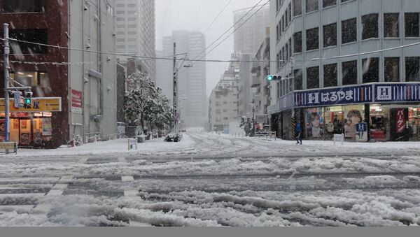 Cнегопад в Токио