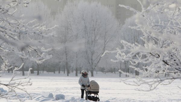 В городском парке Минска морозным днем. Архивное фото