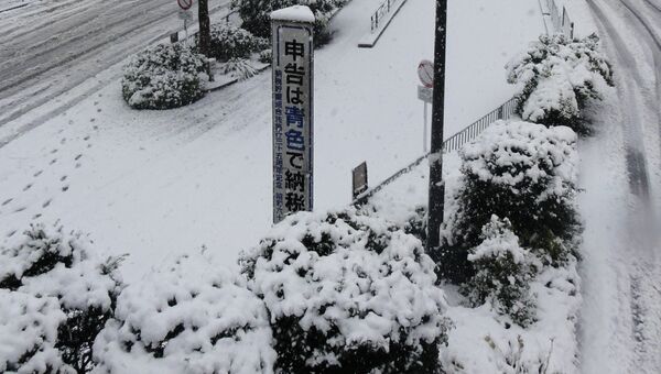 Снегопад в Японии. Архивное фото