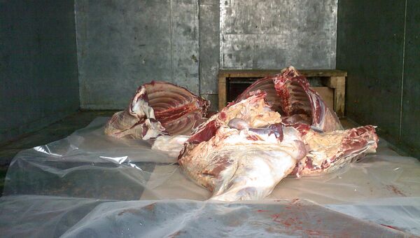 Ядовитое мясо, изъятое в Костромской области