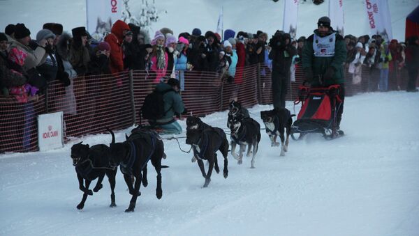 Международные соревнования по гонкам на собачьих упряжках в Карелии, архивное фото
