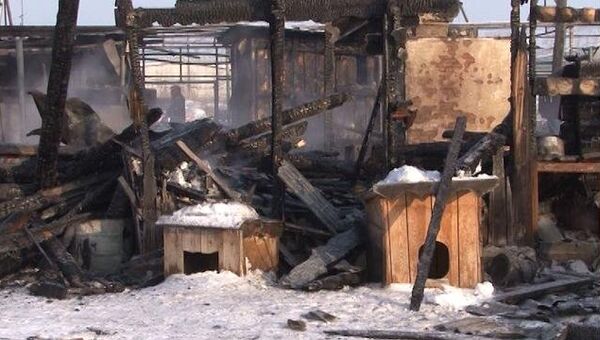 Пожар унес восемь жизней и оставил пепелище на месте теплицы 