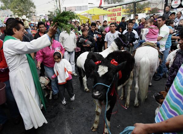 Церемония благословения домашних питомцев в Мексике