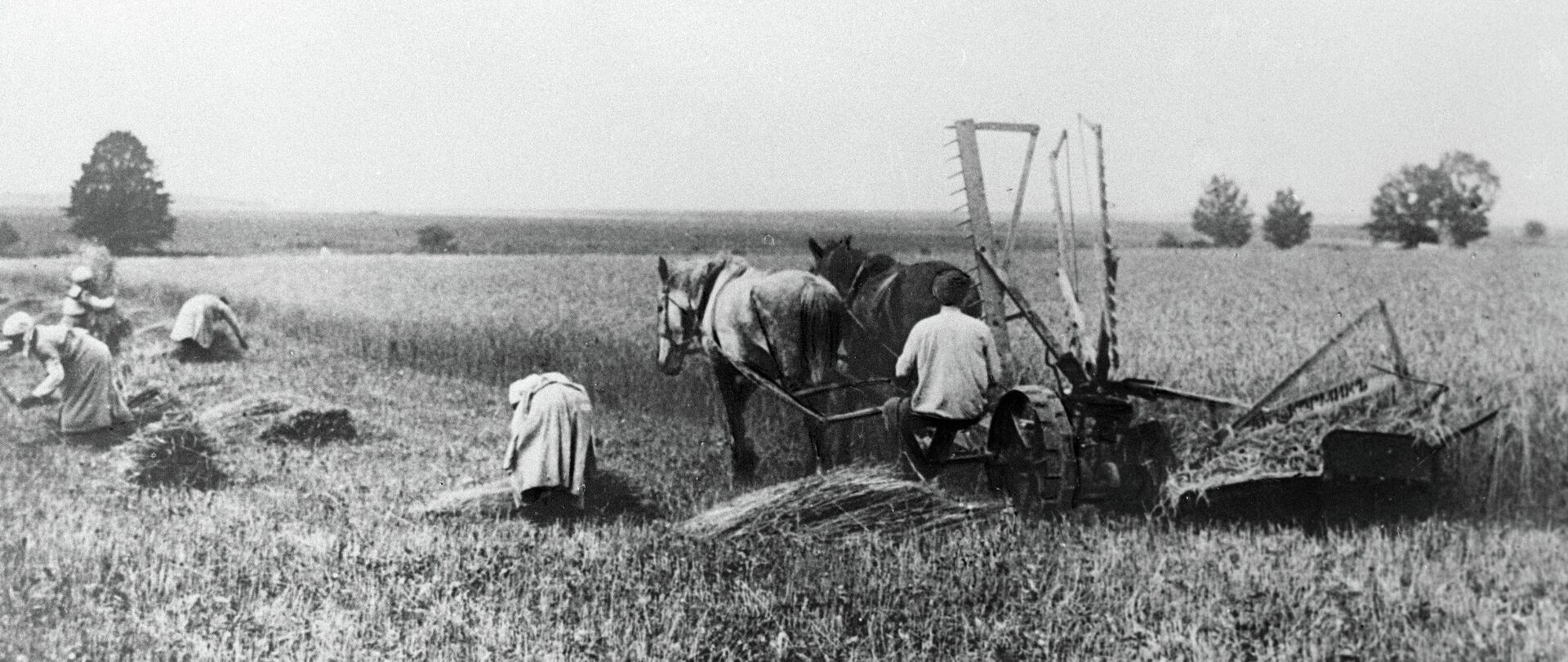 Работа на поле  - РИА Новости, 1920, 06.03.2022