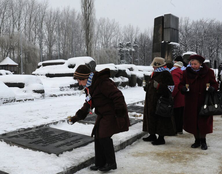 Мероприятия, посвященные 68-й годовщине освобождения Освенцима