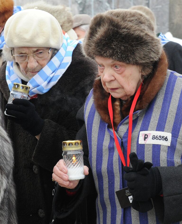 Мероприятия, посвященные 68-й годовщине освобождения Освенцима