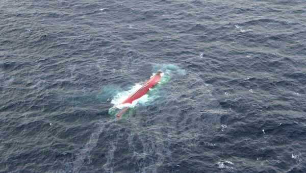 Поиски членов экипажа с судна Шанс-101, перевернувшегося в Японском море
