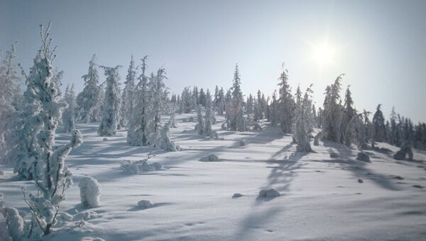 Зима в Якутии. Архивное фото