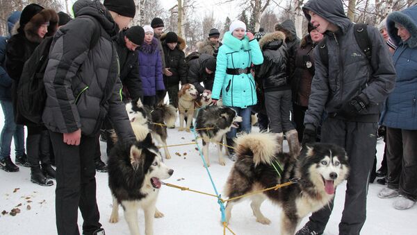 Экспедиция на собачьих упряжках Окно в Сибирь и Русскую Арктику