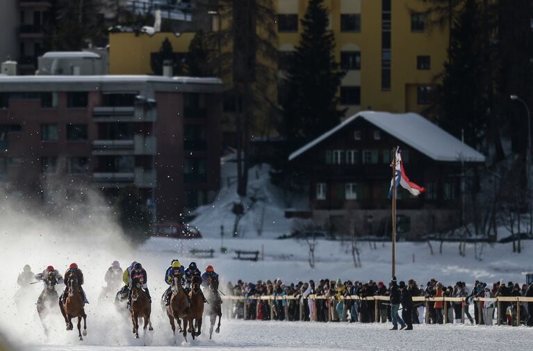 Скачки на льду озера Санкт-Мориц White Turf St. Moritz 2013