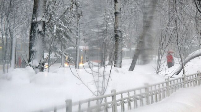 Снегопад в Подмосковье. Архивное фото