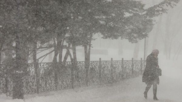 Снежный циклон на Сахалине. Архивное фото