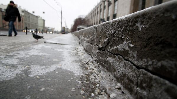 После ледяного дождя в Москве. Архивное фото