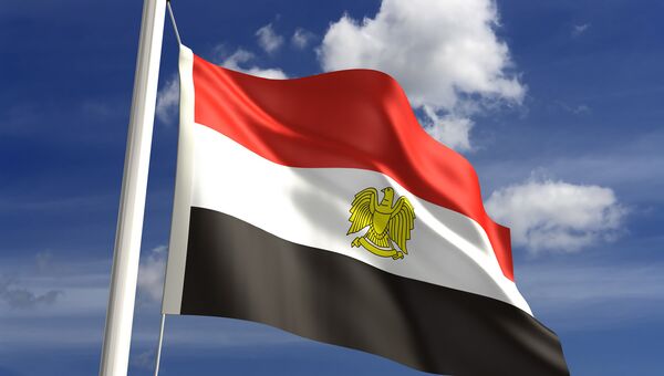 Египетский флаг. Архивное фото