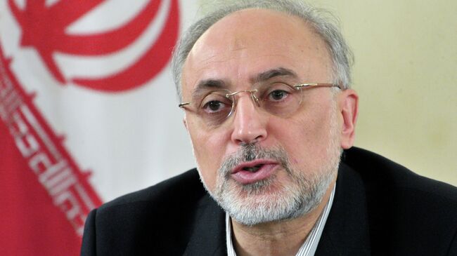  Вице-президент и глава Организации атомной энергии Ирана (ОАЭИ) Али Акбар Салехи 