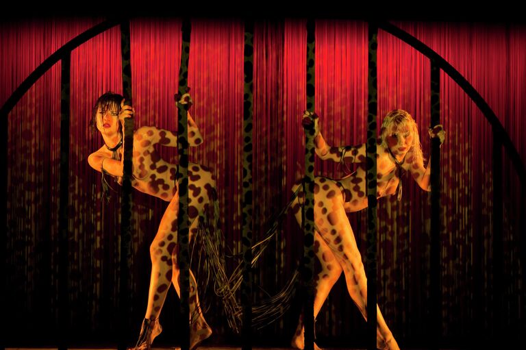 Французское кабаре Crazy Horse