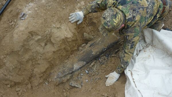 В КБР обнаружены останки древнего мамонта