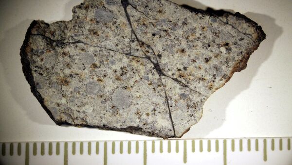 Фрагменты метеорита, упавшего в районе Челябинска, в лаборатории метеоритики ГЕОХИ РАН